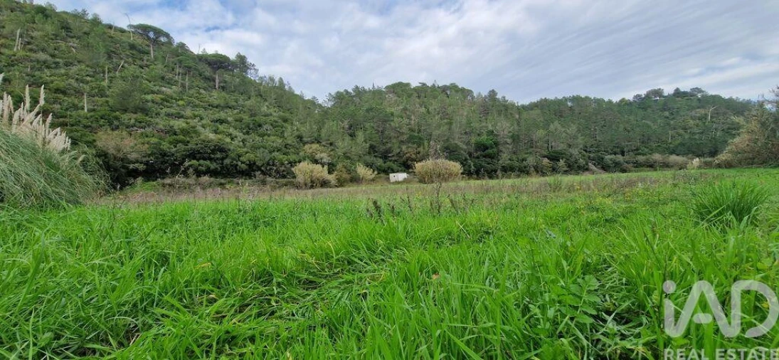 Terreno para Venda em Carvoeira Foto 21