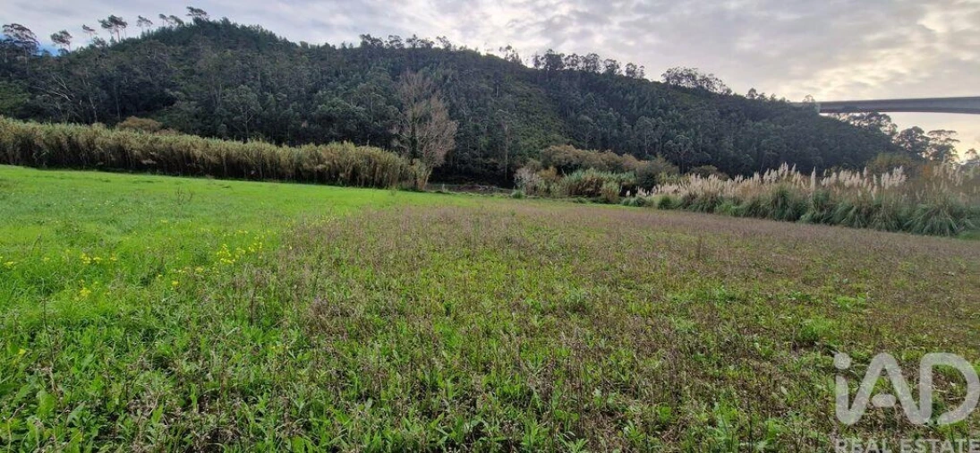 Terreno para Venda em Carvoeira Foto 10