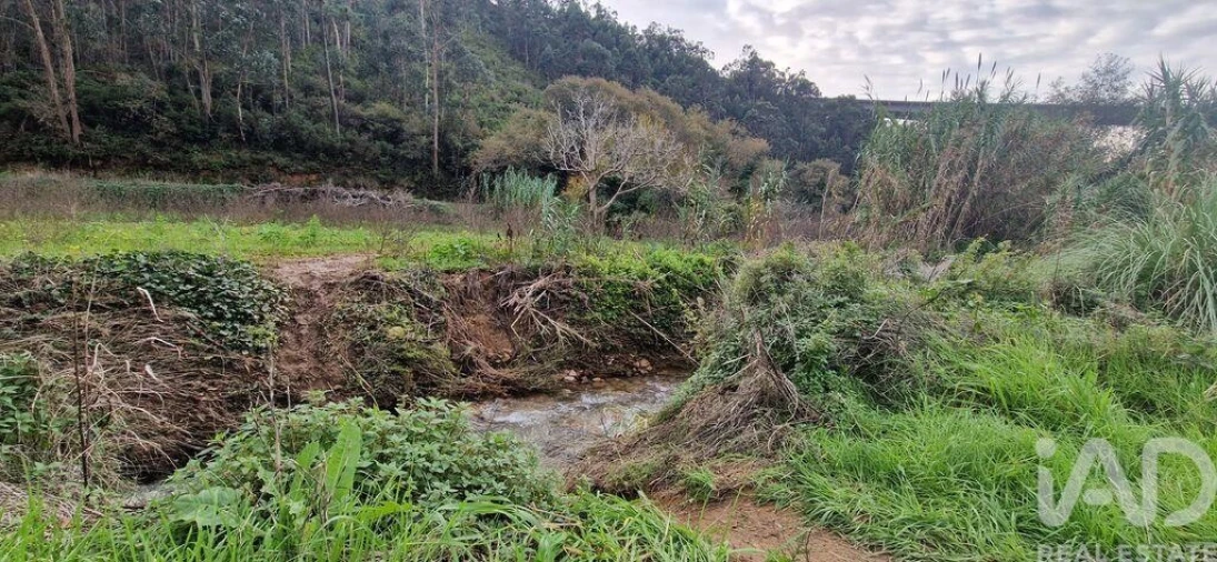 Terreno para Venda em Carvoeira Foto 15
