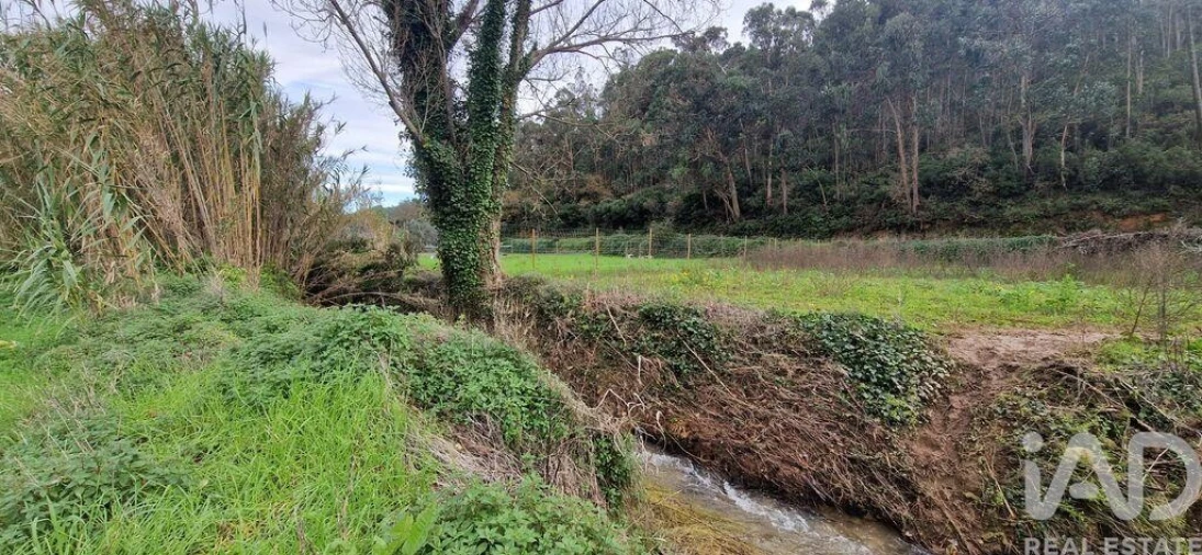 Terreno para Venda em Carvoeira Foto 16