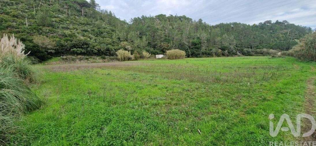 Terreno para Venda em Carvoeira Foto 19