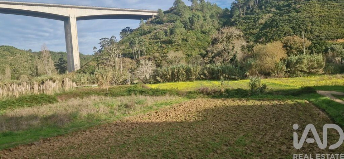 Terreno para Venda em Carvoeira Foto 3
