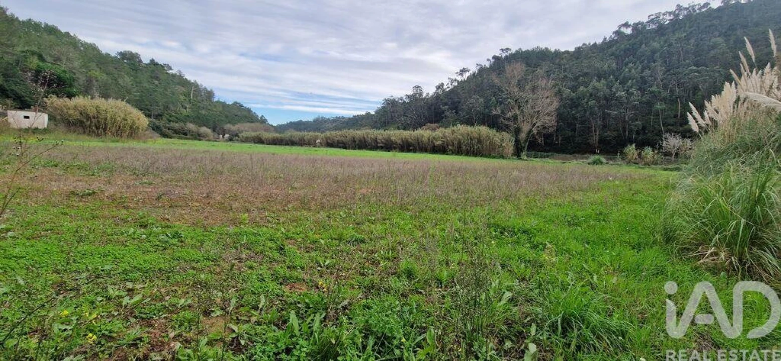 Terreno para Venda em Carvoeira Foto 22