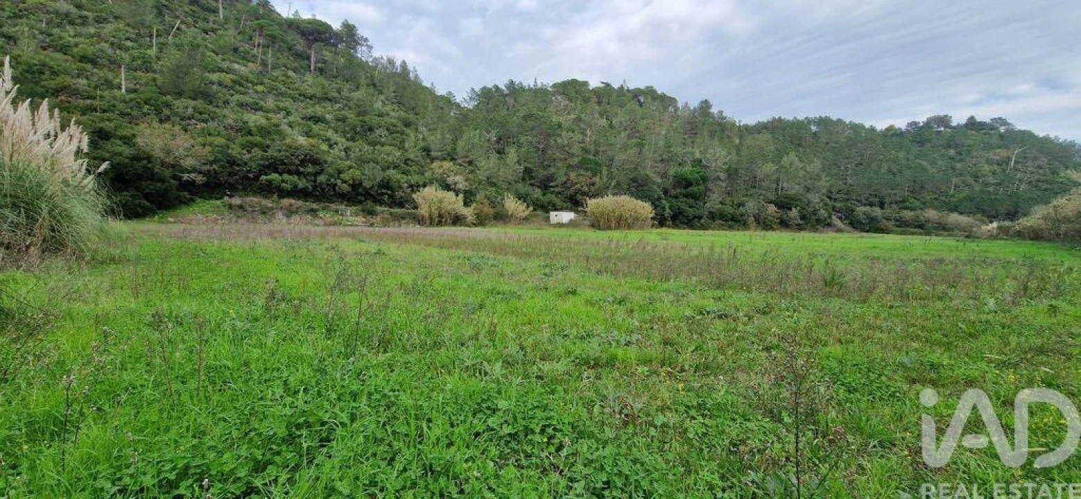 Terreno para Venda em Carvoeira Foto 20