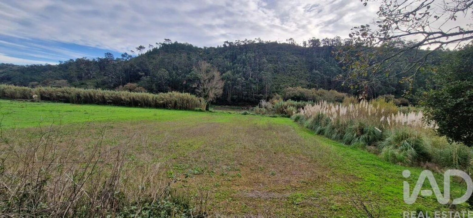 Terreno para Venda em Carvoeira Foto 4