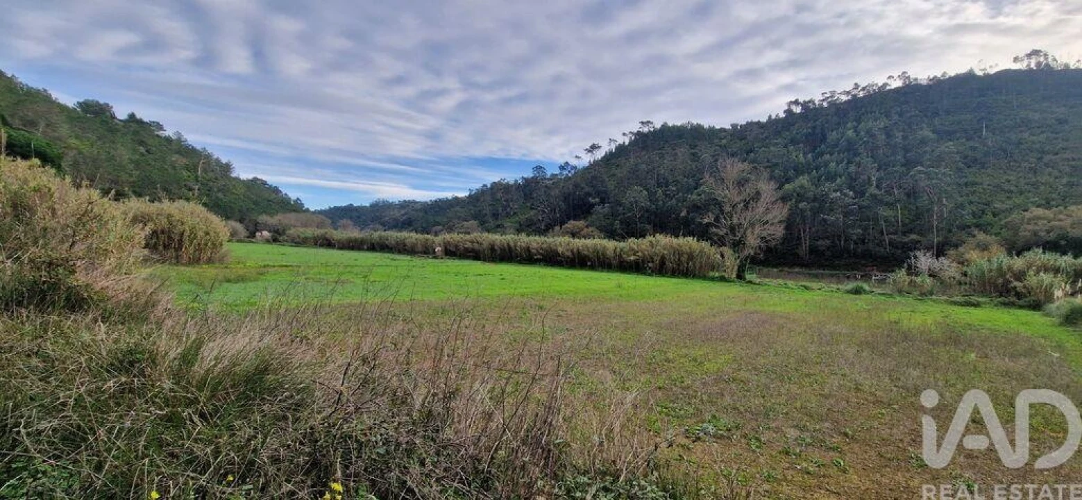 Terreno para Venda em Carvoeira Foto 8