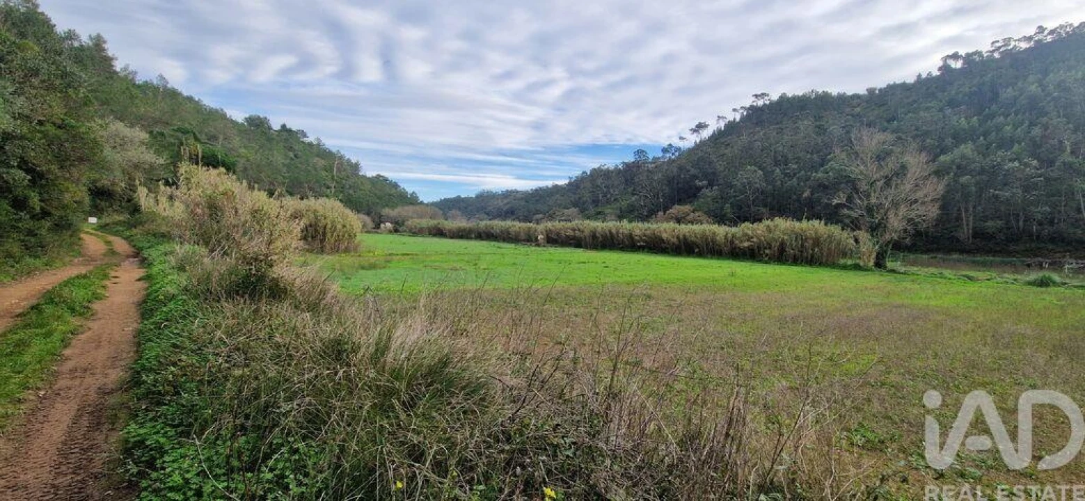 Terreno para Venda em Carvoeira Foto 9
