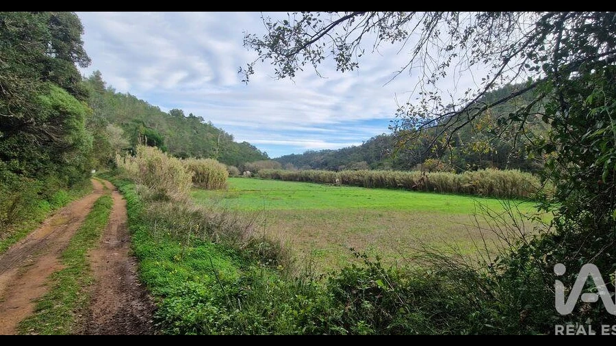 Terreno para Venda em Carvoeira