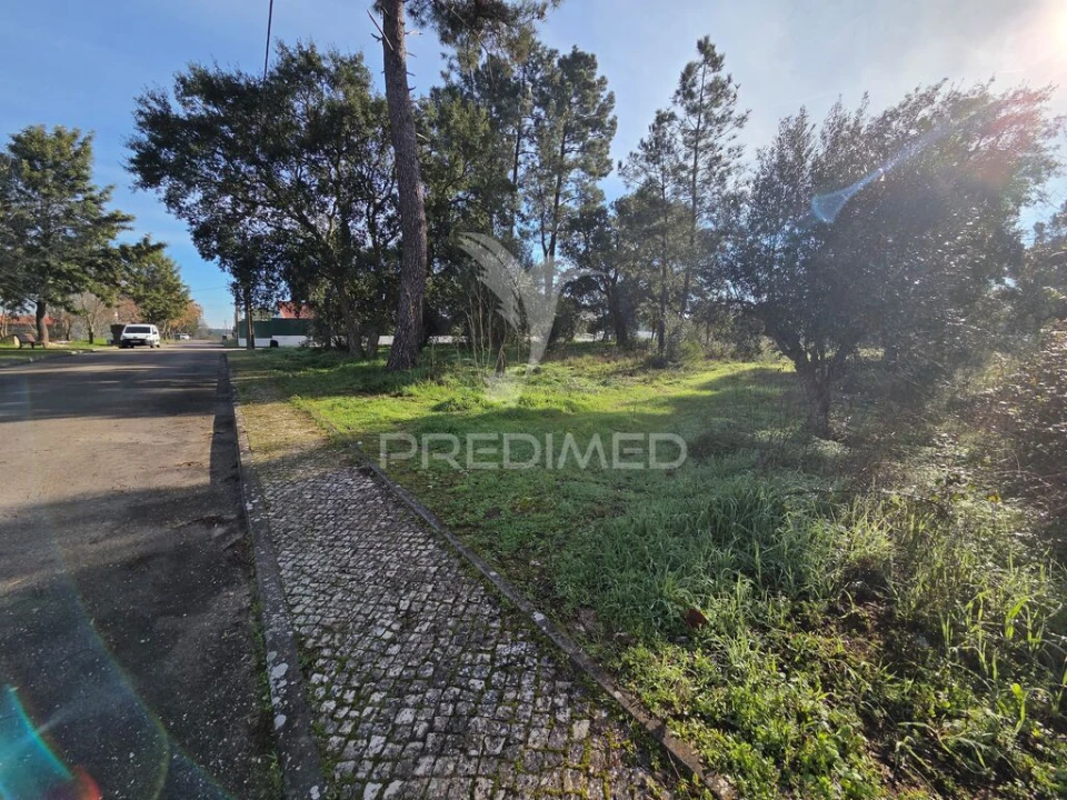 Terreno para Venda em Praia do Ribatejo Foto 5