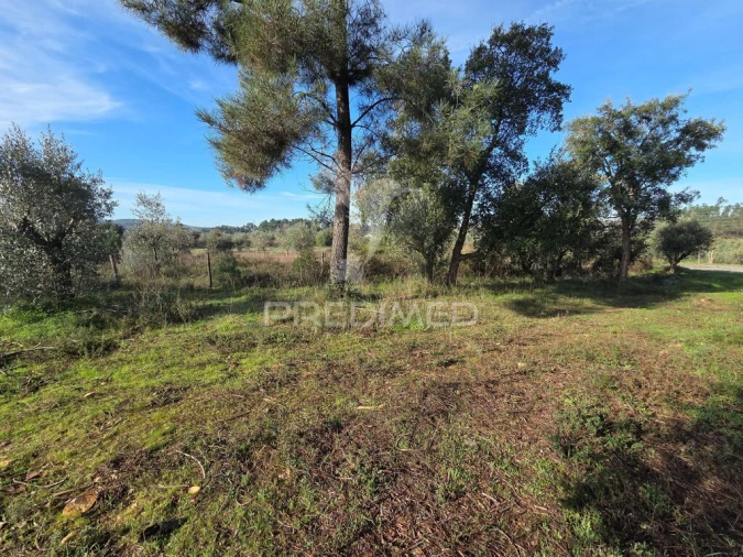Terreno para Venda em Praia do Ribatejo Foto 10