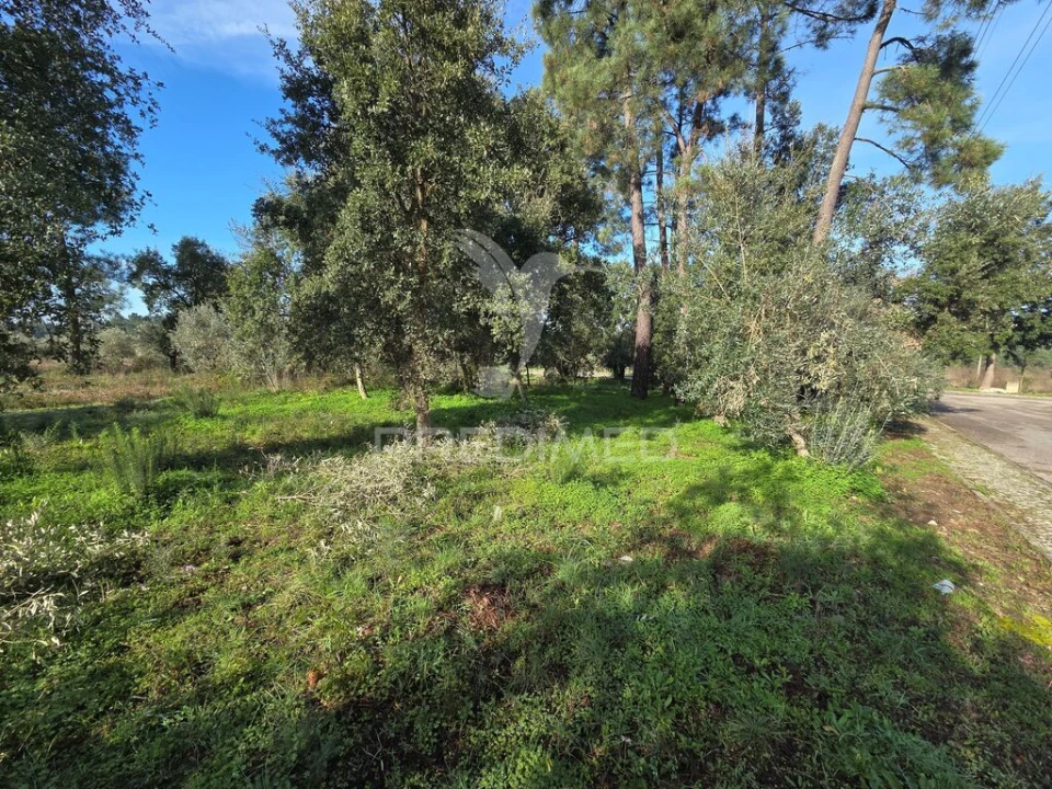Terreno para Venda em Praia do Ribatejo Foto 15
