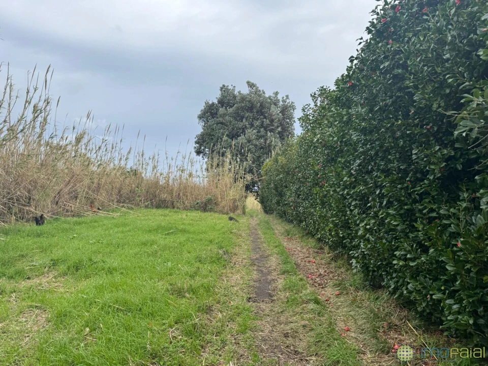 Moradia T3 para Venda em Cedros Foto 14