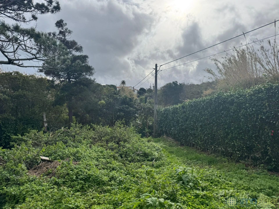 Moradia T3 para Venda em Cedros Foto 15