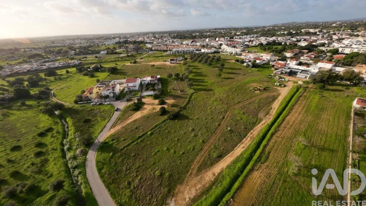 Terreno para Venda em Ferreiras Foto 14