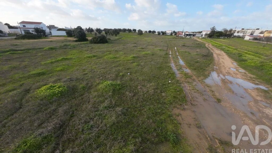 Terreno para Venda em Ferreiras Foto 13