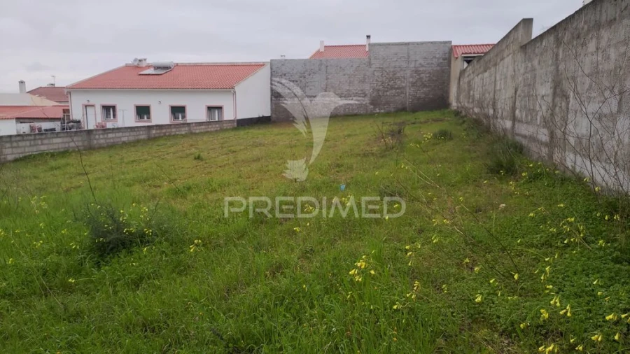 Terreno para Venda em Carregueira Foto 6