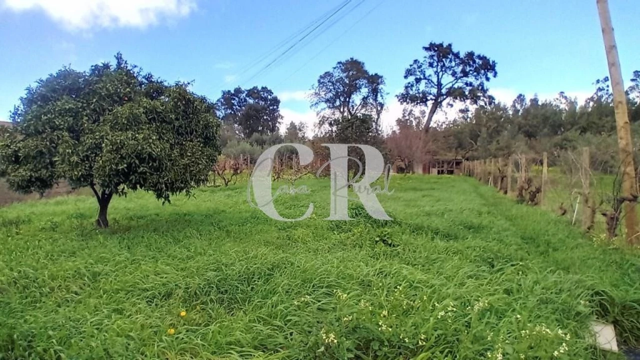 Moradia T2 para Venda em Figueiró dos Vinhos e Bairradas Foto 32