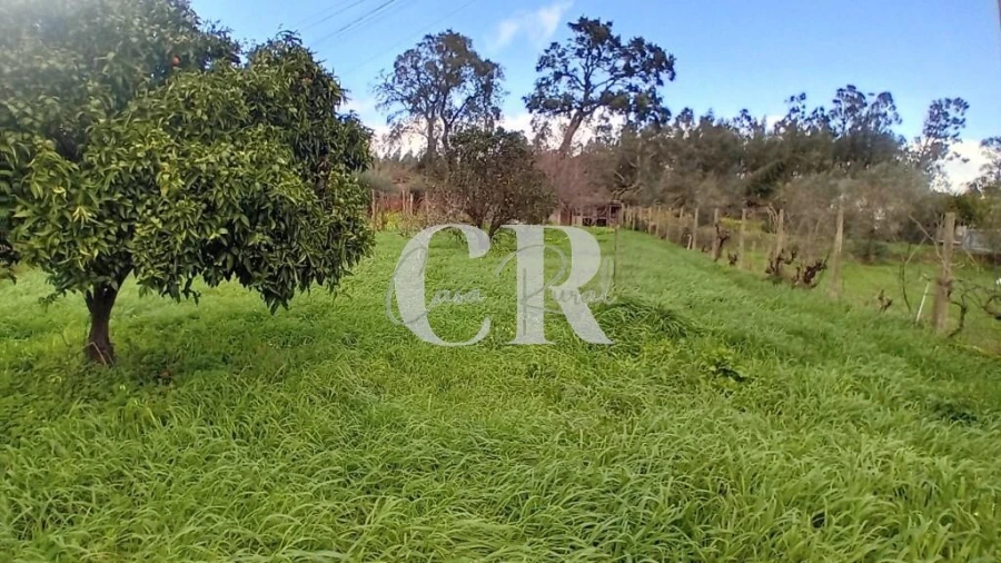 Moradia T2 para Venda em Figueiró dos Vinhos e Bairradas Foto 31