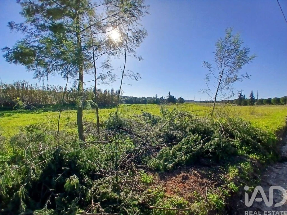 Terreno para Venda em Almeirim Foto 4
