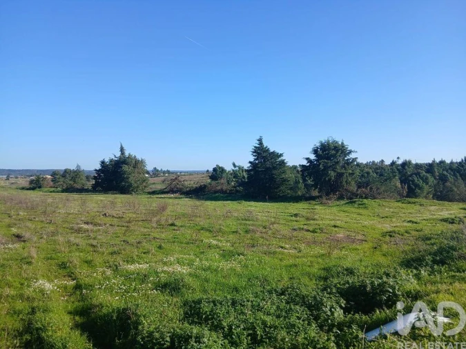 Terreno para Venda em Almeirim Foto 3