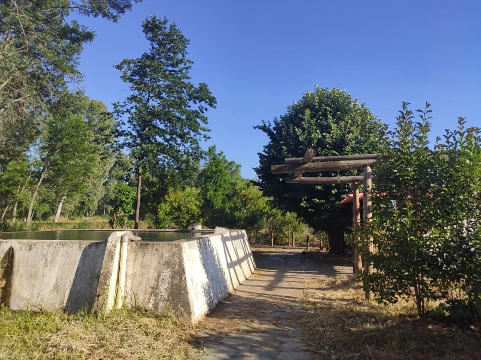 Moradia T18 para Venda em Monfortinho e Salvaterra do Extremo Foto 38