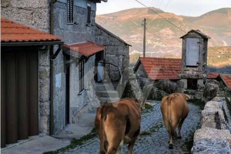 Moradia T3 para Venda em Bustelo, Carneiro e Carvalho de Rei Foto 9