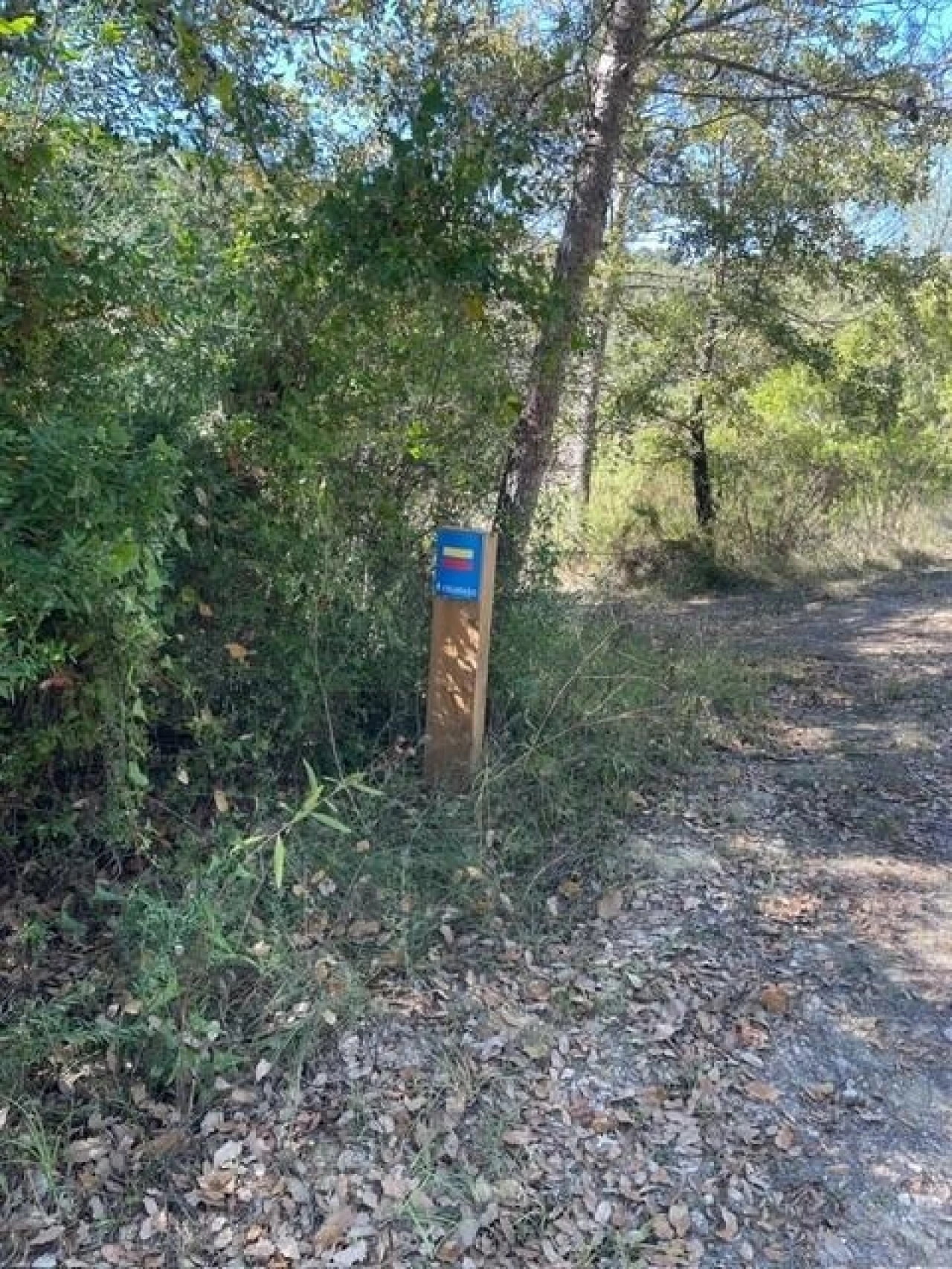 Terreno para Venda em Azoia de Cima e Tremês Foto 4