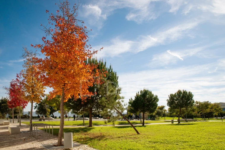 Loja para Venda em Marvila Foto 10