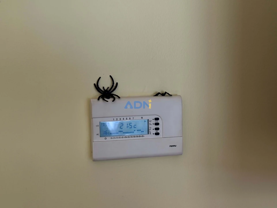 Apartamento T4 para Venda em Alcains Foto 26