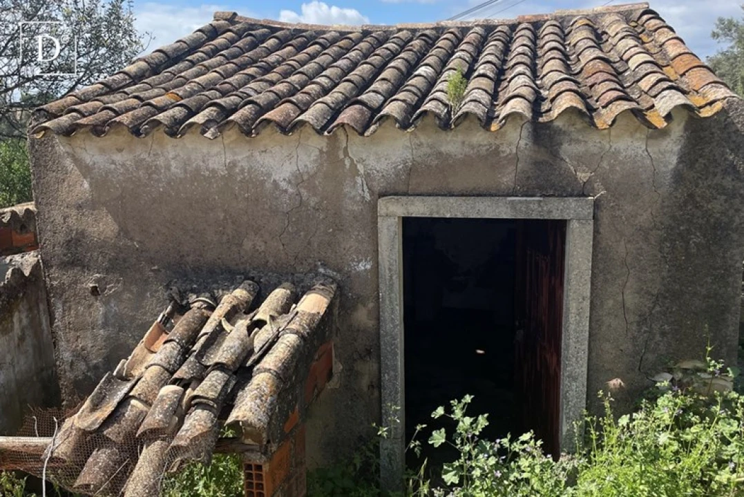 Terreno para Venda em Loule (São Clemente) Foto 16