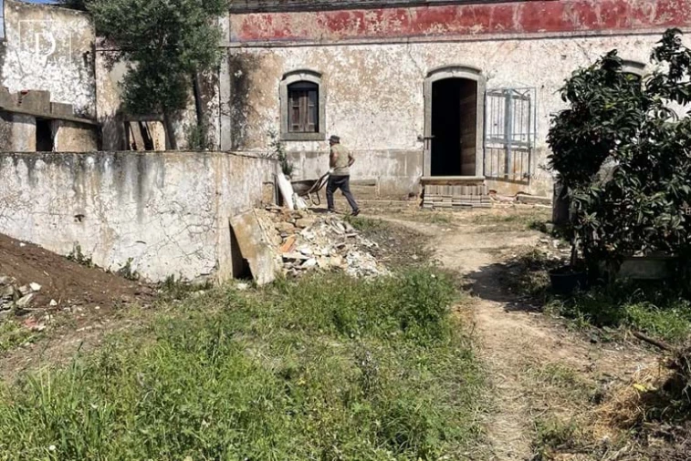 Terreno para Venda em Loule (São Clemente) Foto 14