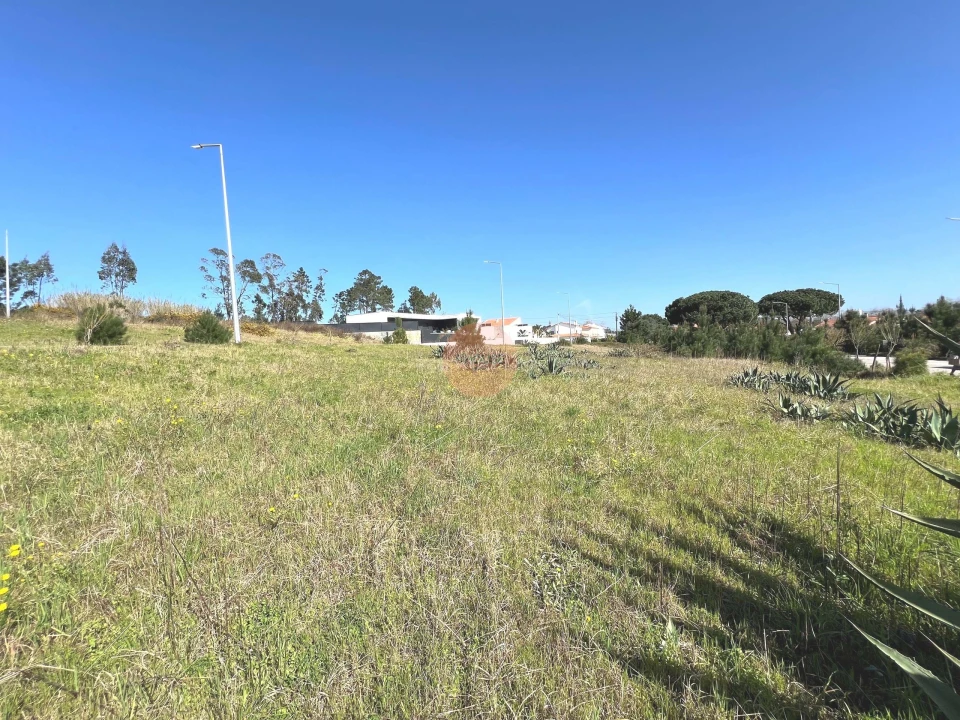 Terreno para Venda em Nadadouro Foto 16