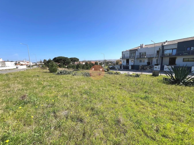 Terreno para Venda em Nadadouro Foto 18
