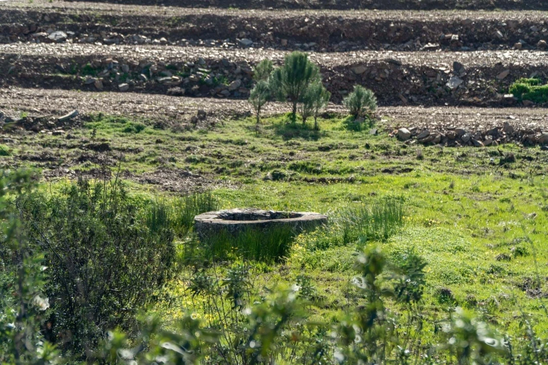 Terreno para Venda em Odeleite Foto 26