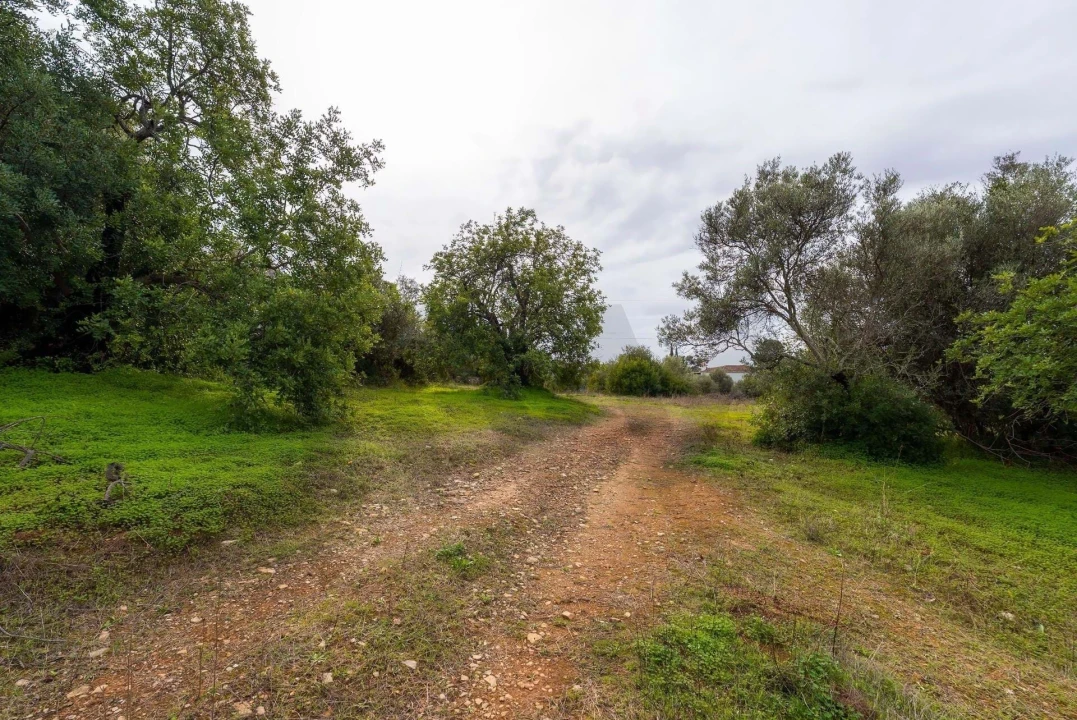 Terreno para Venda em Olhão Foto 15