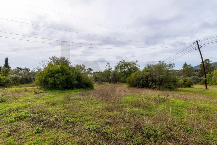 Terreno para Venda em Olhão Foto 13