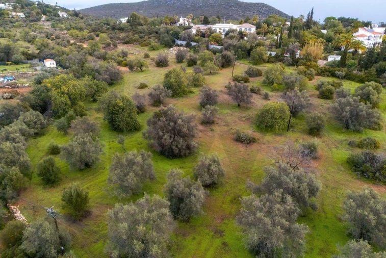 Terreno para Venda em Olhão Foto 10