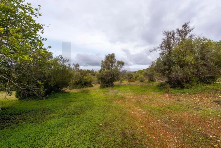 Terreno para Venda em Olhão Foto 14