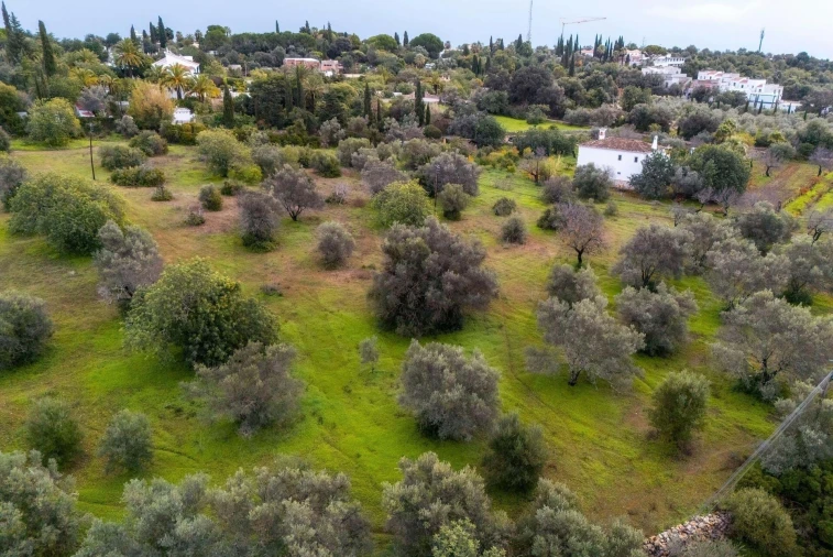 Terreno para Venda em Olhão Foto 9