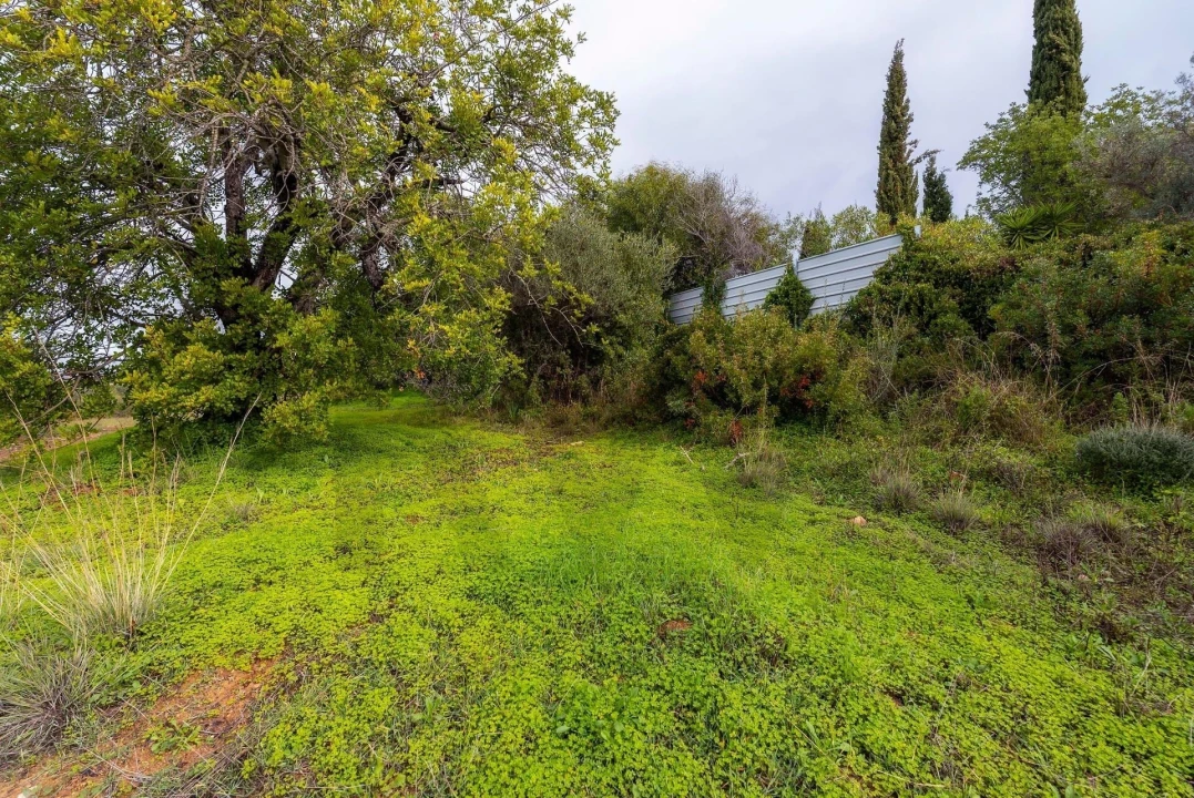 Terreno para Venda em Olhão Foto 12