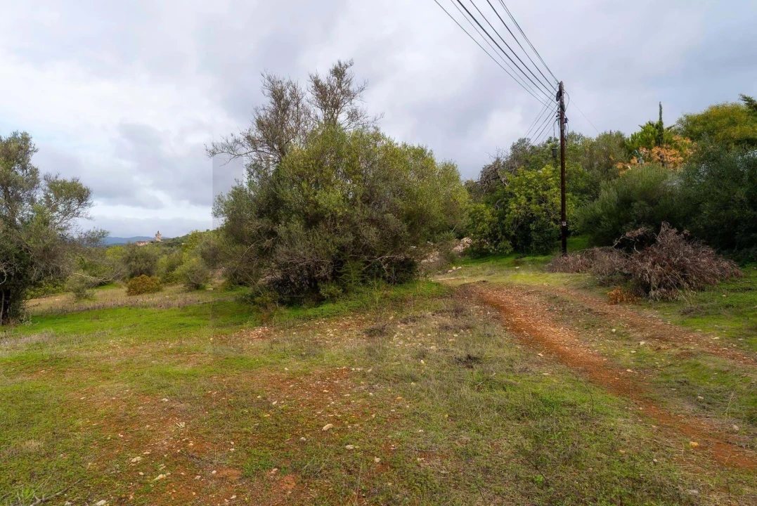 Terreno para Venda em Olhão Foto 17