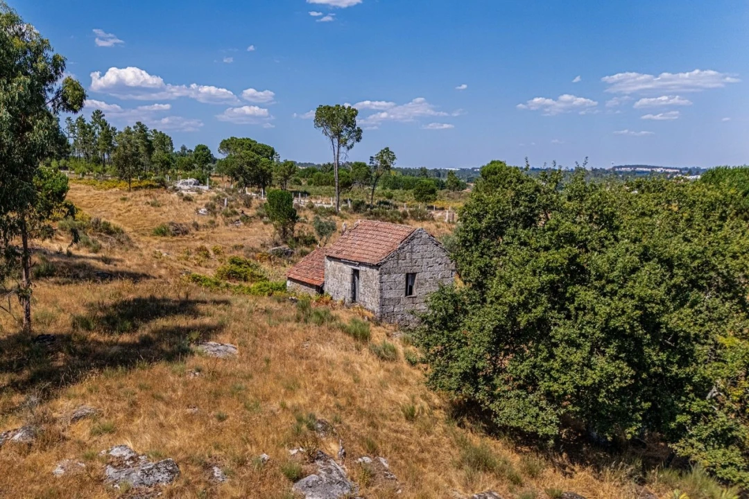 Moradia T4 para Venda em Moimenta de Maceira Dão e Lobelhe do Mato Foto 12