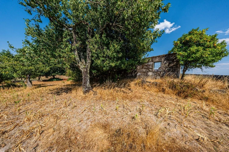 Moradia T4 para Venda em Moimenta de Maceira Dão e Lobelhe do Mato Foto 10