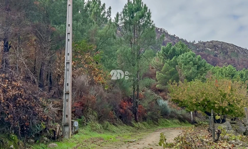Terreno para Venda em Távora e Pereiro Foto 1