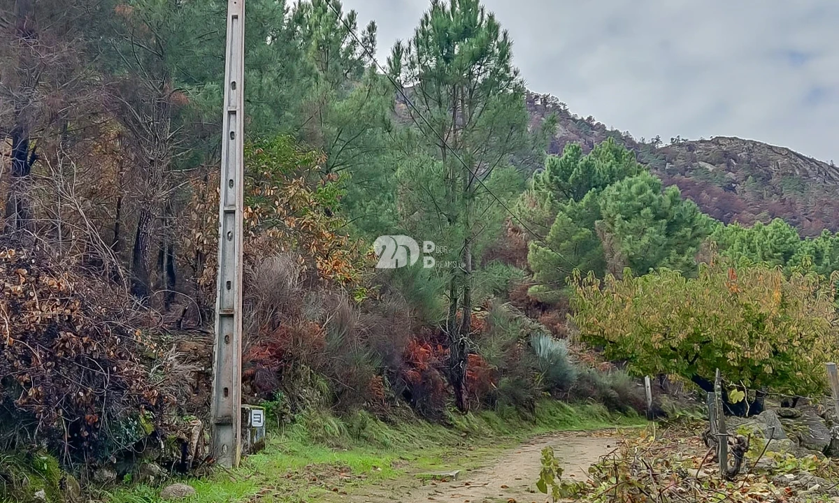 Terreno para Venda em Távora e Pereiro Foto 1