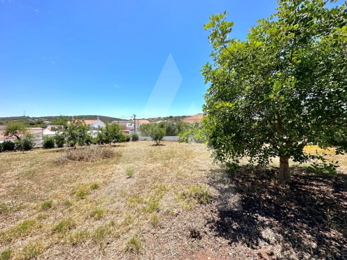 Moradia T4 para Venda em São Brás de Alportel Foto 75