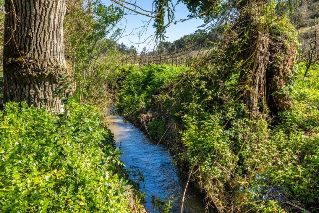 Moradia T3 para Venda em Alfeizerão Foto 32