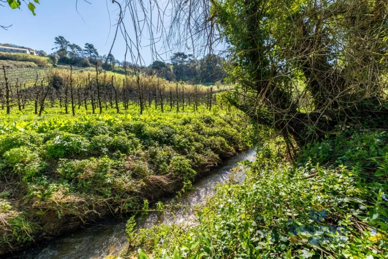 Moradia T3 para Venda em Alfeizerão Foto 33
