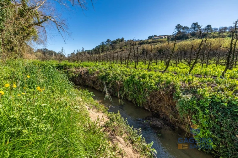 Moradia T3 para Venda em Alfeizerão Foto 34