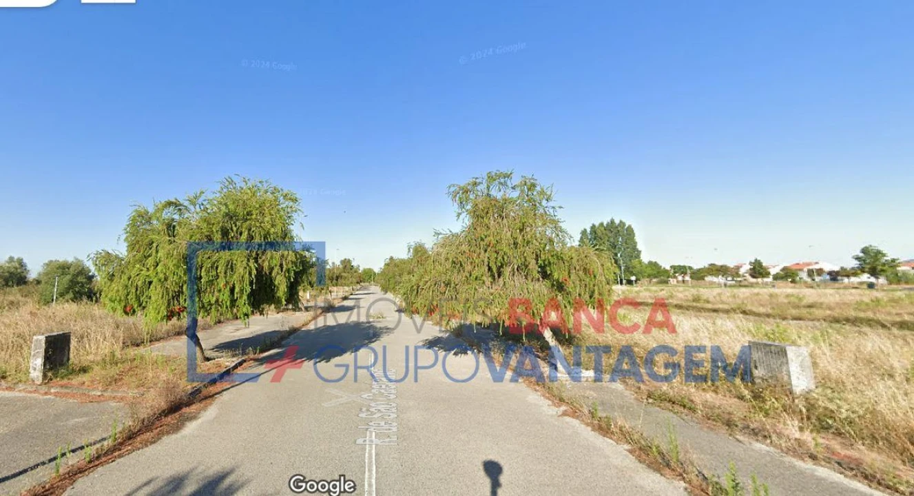 Terreno para Venda em São João Baptista Foto 15